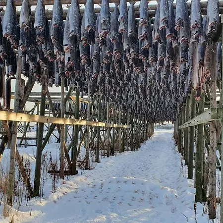 Feriehus Rorbu Kvalen 17 *